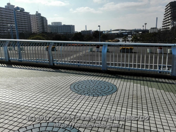 左近川 橋